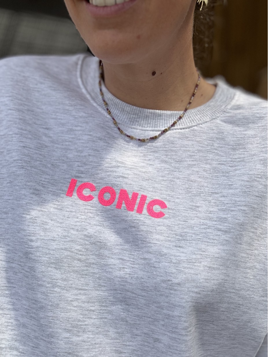 SWEAT ICONIC GRIS